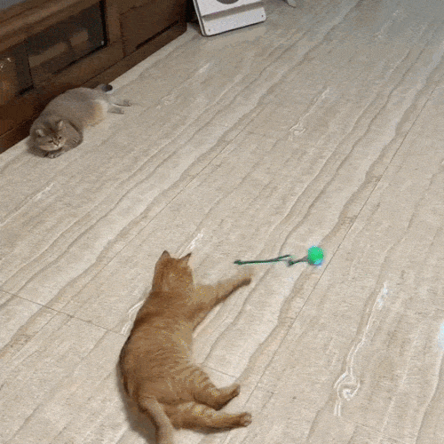 Minge Interactivă pentru Animale