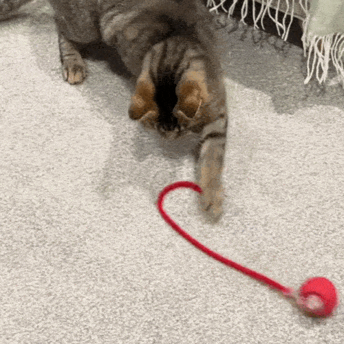 Jucărie Interactivă pentru Pisici și Câini